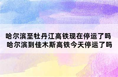 哈尔滨至牡丹江高铁现在停运了吗 哈尔滨到佳木斯高铁今天停运了吗